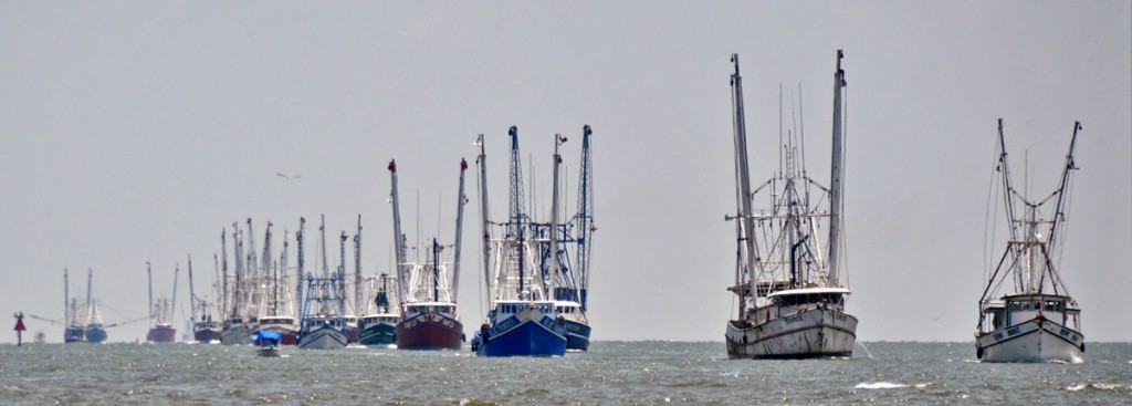 Texas Commercial Fishing – Commercial Fishing